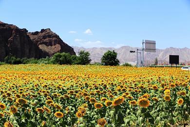 《如龙8》Steam预加载开启 下载大小约60GB